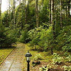 Прогулки по участку с ландшафтным дизайном лесной части